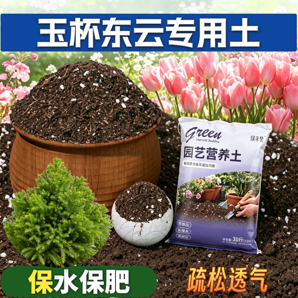 玉杯东云适用栽培土腐殖泥炭土加珍珠岩盆栽包邮有机壮根木本室内