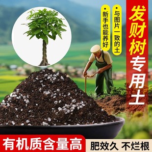 发财树营养土含泥炭肥料通用有机种植土批发土壤疏松透气专用土