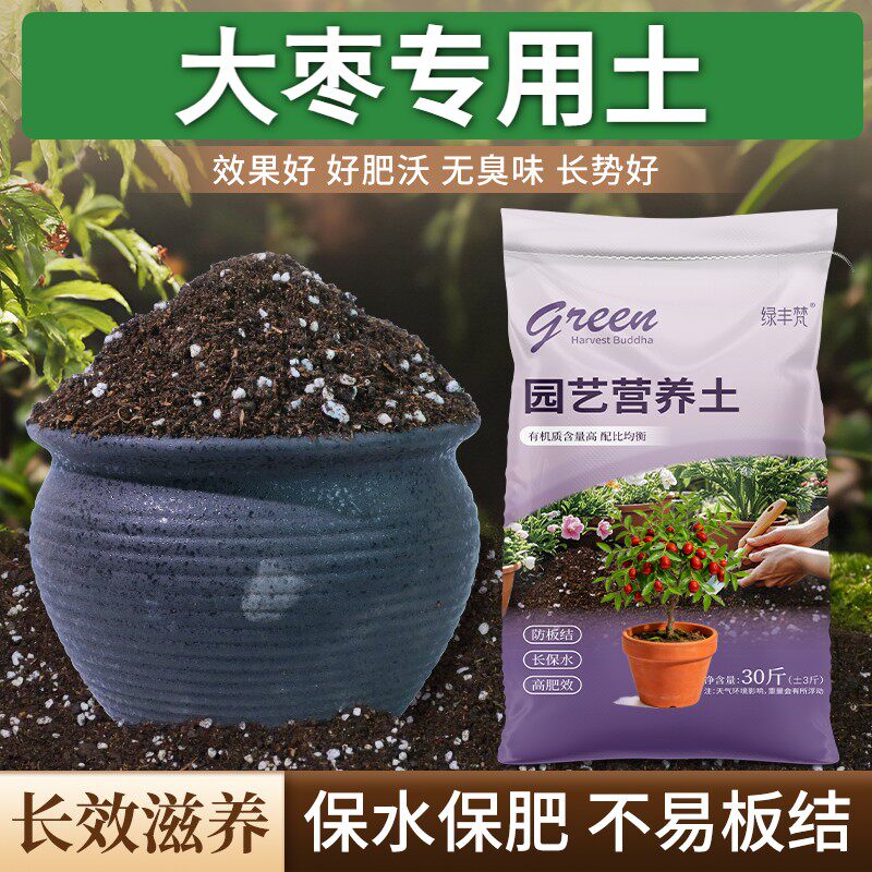 大枣专用泥炭土不闷根高温腐熟阳台包邮有机增色观叶适用室内绿叶