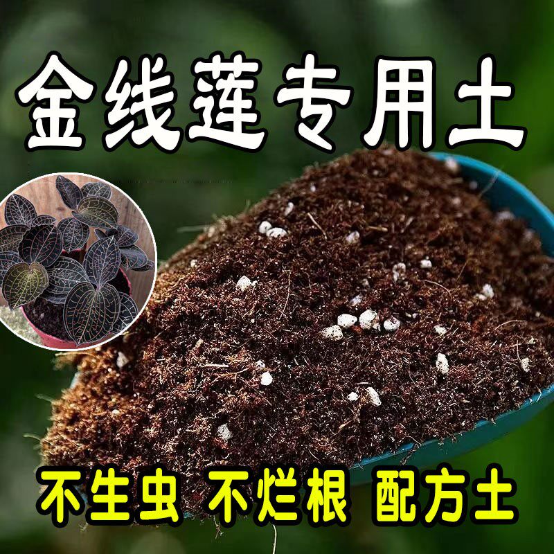 金线莲专用营养土 金线莲专用土 盆栽花土种花养花种植土壤通用型