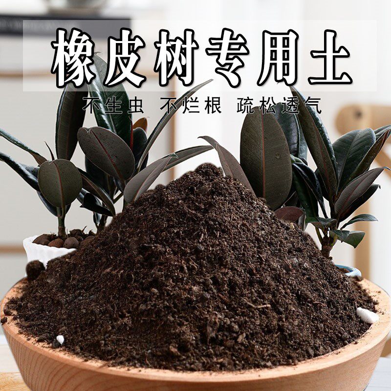 橡皮树专用土盆栽绿植橡皮树营养土养花种花土通用有机肥料种植土