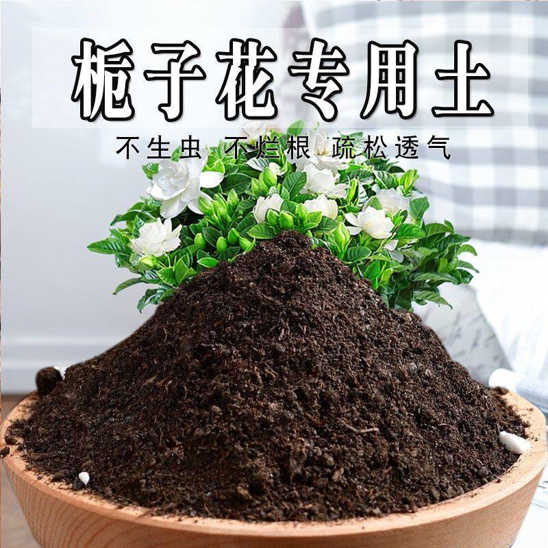 栀子花专用土栀子花专用营养土盆栽养花种花土通用种植土有机肥料