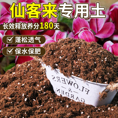 仙客来专用花泥干湿循环好种菜盆栽土天然原料稳定土团无草籽球根