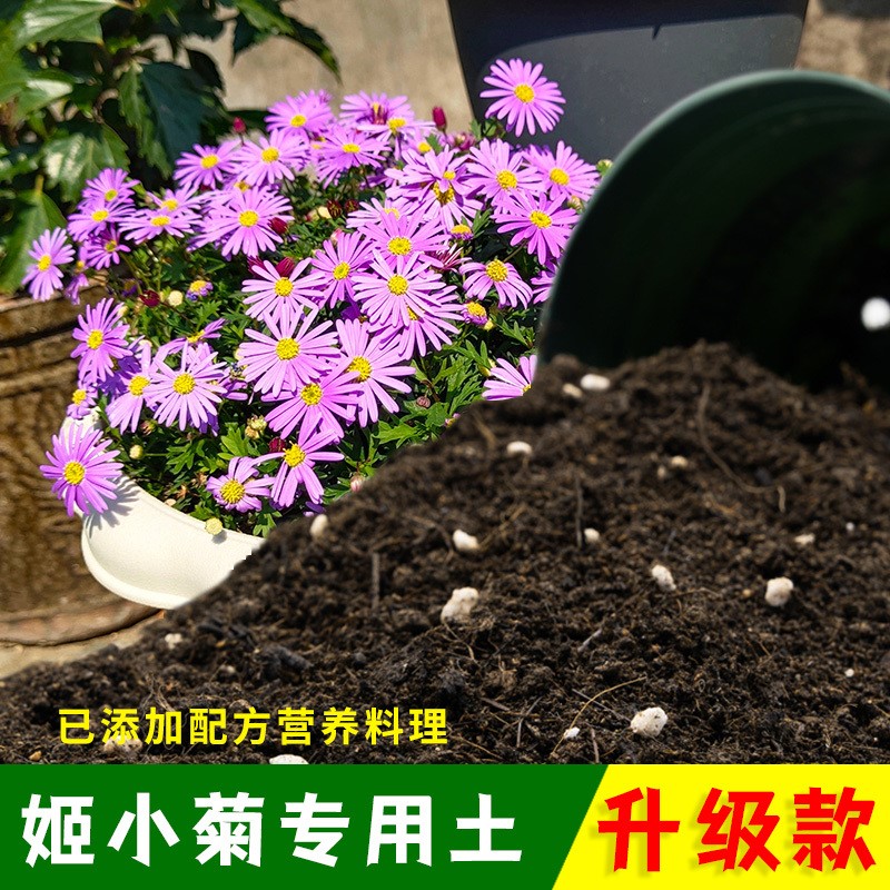 姬小菊专用土有机土肥料家用种植土姬小菊营养土盆栽养花通用包邮