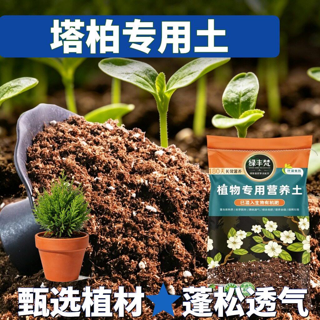 塔柏专用轻质园艺土无尘处理月季种植土干净无尘增色大包装观叶