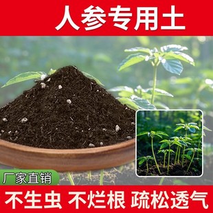 人参专用土家用种植发酵绿植透气盆栽天然人参专用营养土有机土