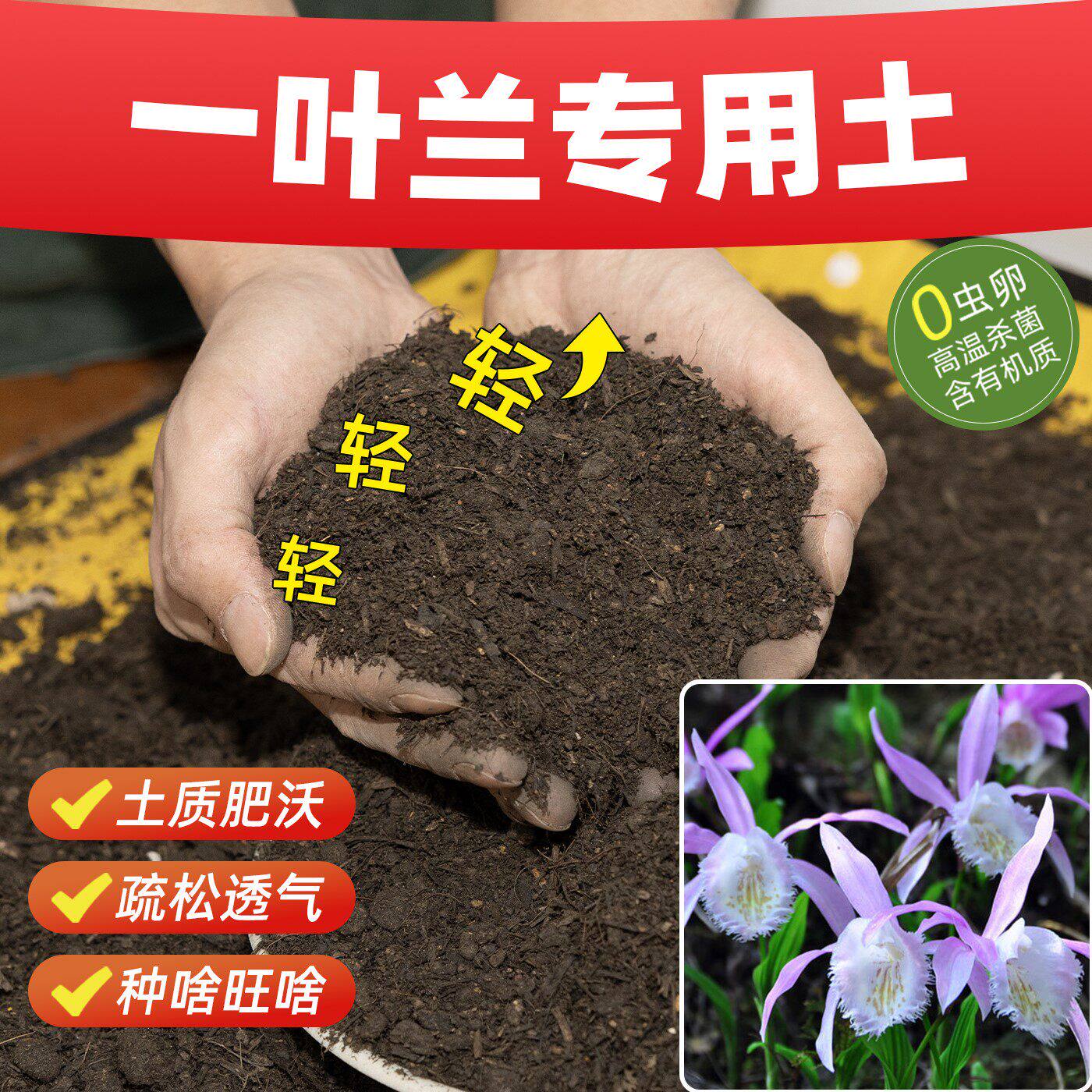 一叶兰专用营养土壮根苗培养土催花无虫卵促生根透气透种花土花园