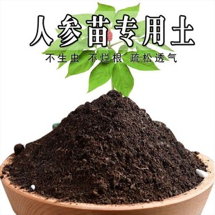 人参苗专用土人参苗专用营养土盆栽土养花种花土通用种植土壤肥料