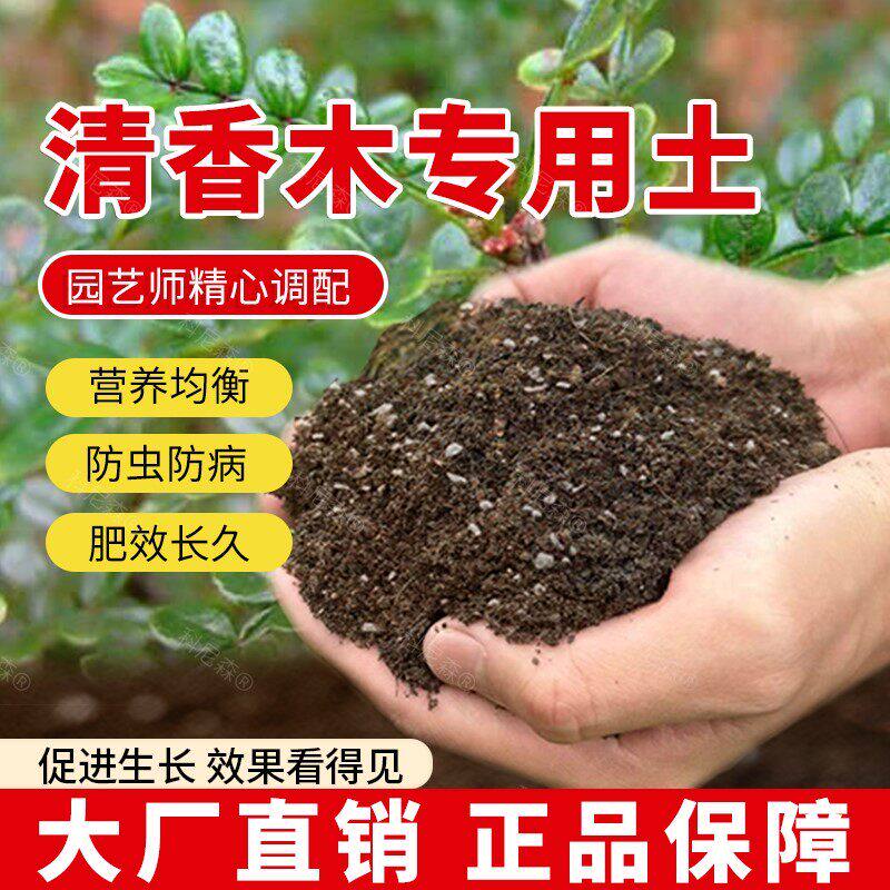 清香木专用土肥料花盆养花园艺黑土种植清香木营养土蓬松育苗花土