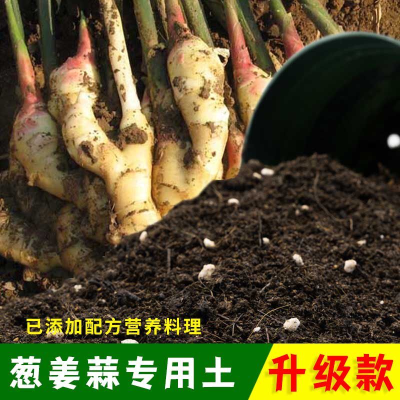 葱姜蒜专用土葱姜蒜营养土有机土肥料家用种植土盆栽种花养花泥土