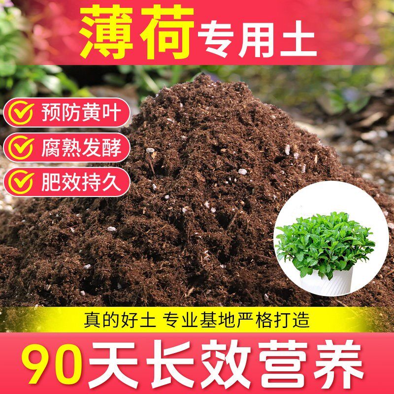 薄荷特种土薄荷专用营养土升盆栽薄荷有机种植土壤基质土有机肥料