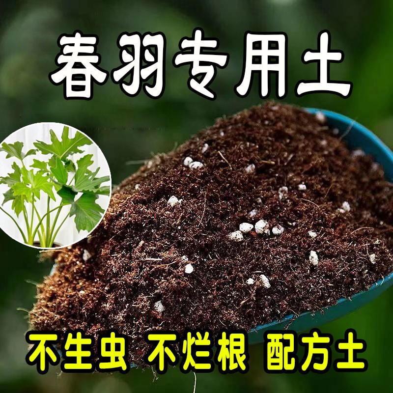 春羽专用营养土 春羽专用土 盆栽花土种花养花绿植种植土壤通用型