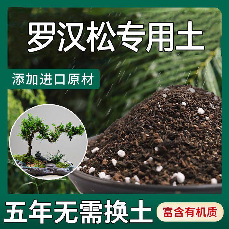 罗汉松土专用土酸性营养土家庭盆栽小叶罗汉松米叶金钱松花泥肥料