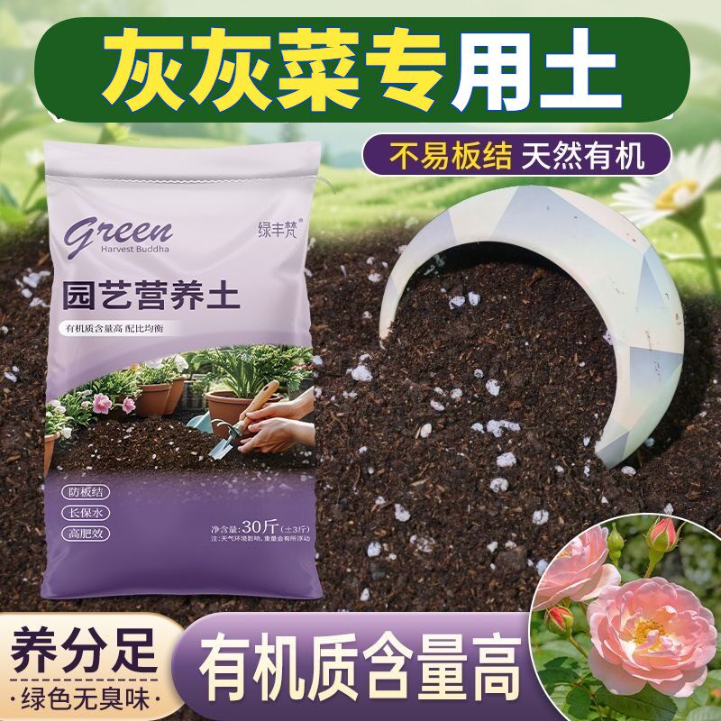 灰灰菜专用泥炭土不烂根家庭园艺加有机肥无菌绿叶球根高温腐熟