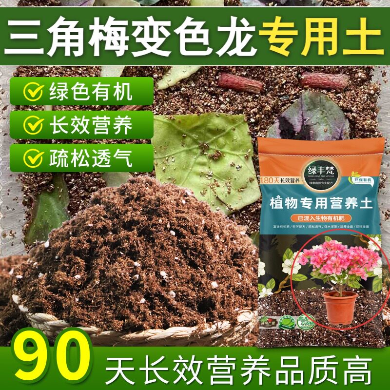 三角梅变色龙适用营养土家庭适用多肉种植土无菌防徒长试用装球根