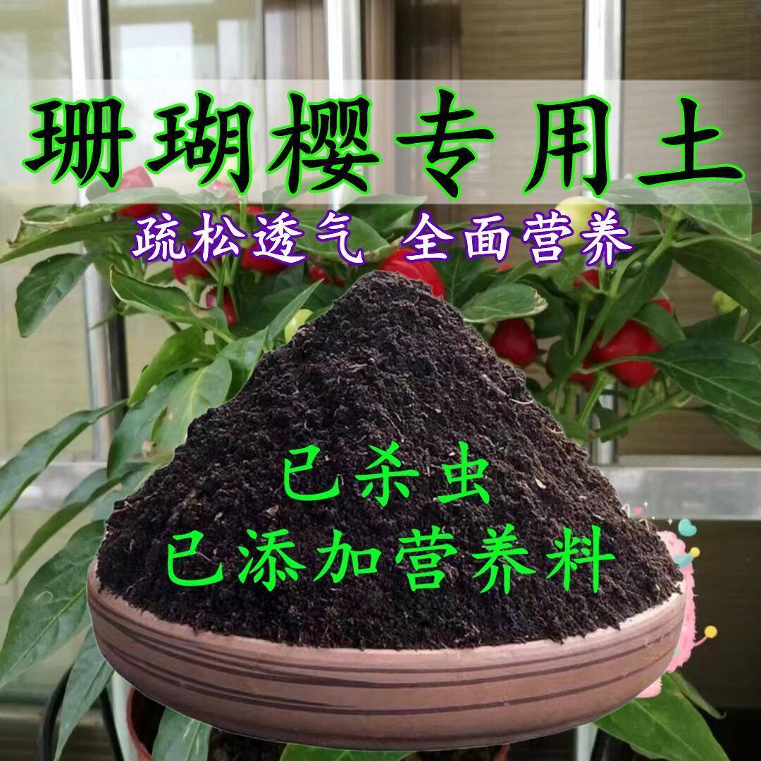 珊瑚樱专用土冬珊瑚专用营养土盆栽土养花种花土通用种植土壤肥料
