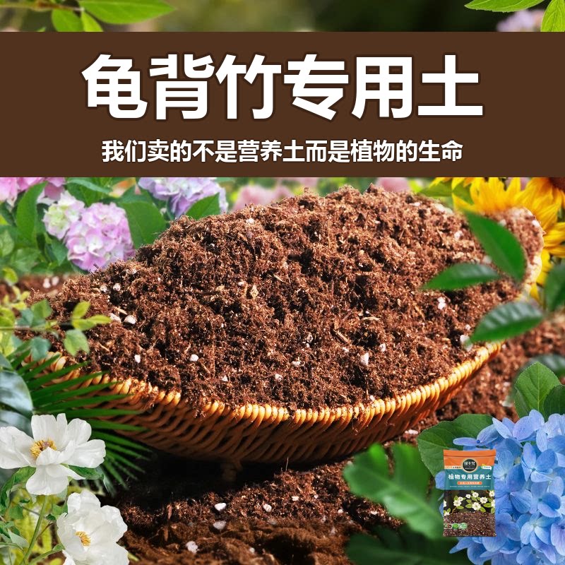 龟背竹专用土盆栽有机花土种龟背竹营养土壤养花通用种植土透气肥
