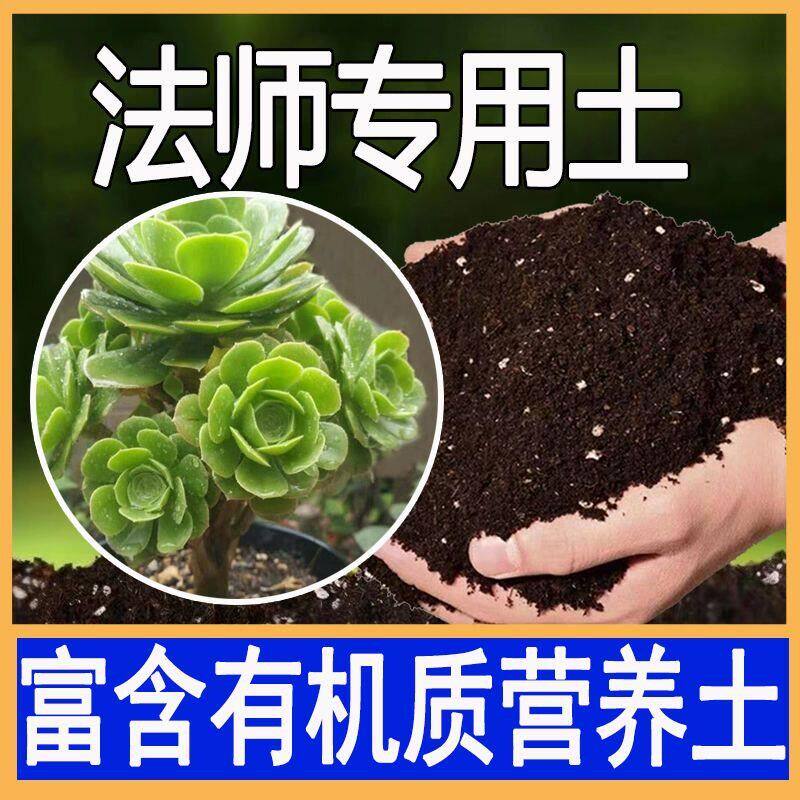 多肉法师类专用土法师类营养土养花种花土通用种植土酸性土壤肥料