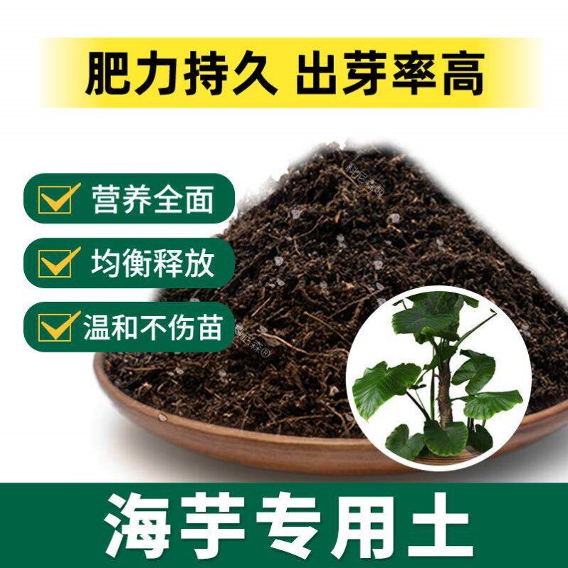 海芋专用土肥料竹芋营养土绿植花草养花花盆黑土室内园艺种花泥土