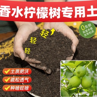 香水柠檬树专用营养土增产增量缓释营养无虫卵种植土壤基质土蔬果