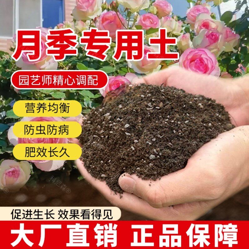 月季专用土营养土透气花盆花土室内椰砖种植土壤绿植月季肥料包邮