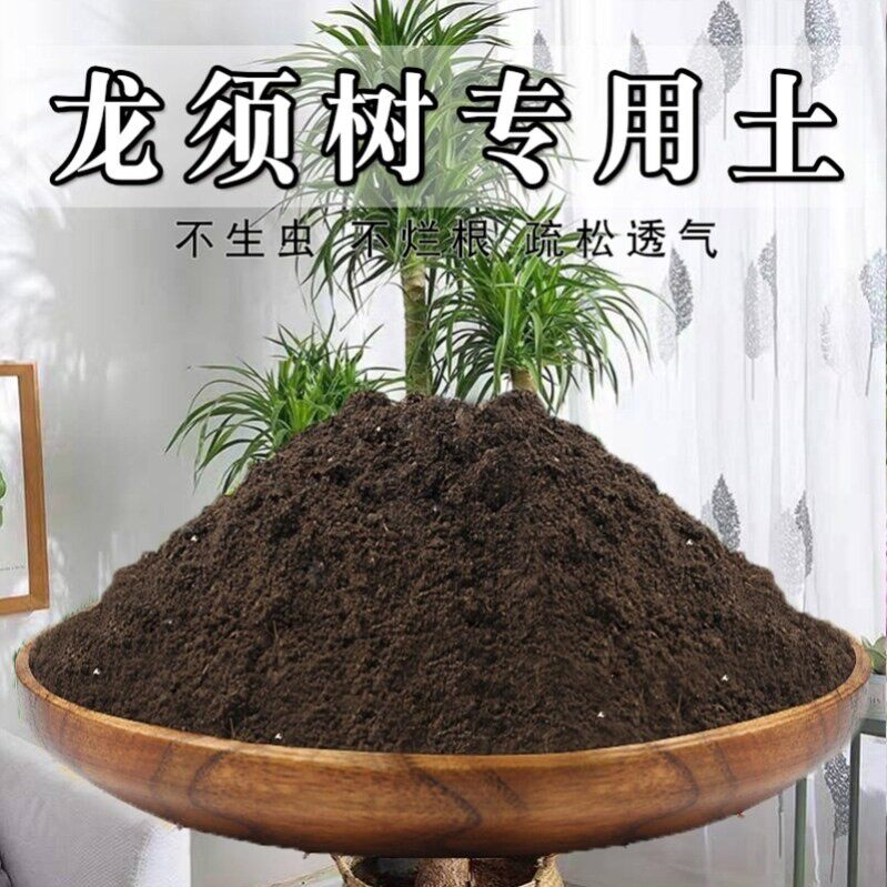 龙血树专用土泥土种植蓬松种菜土绿植物家庭肥料龙须树营养土天然