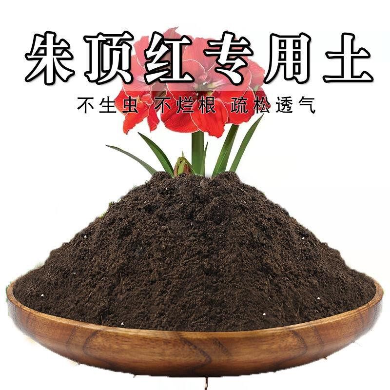 朱顶红专用土朱顶红土盆栽营养土通用种花养花泥土壤种植土有机肥