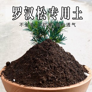 罗汉松专用土罗汉松专用营养土盆栽土养花种花土通用种植土壤肥料