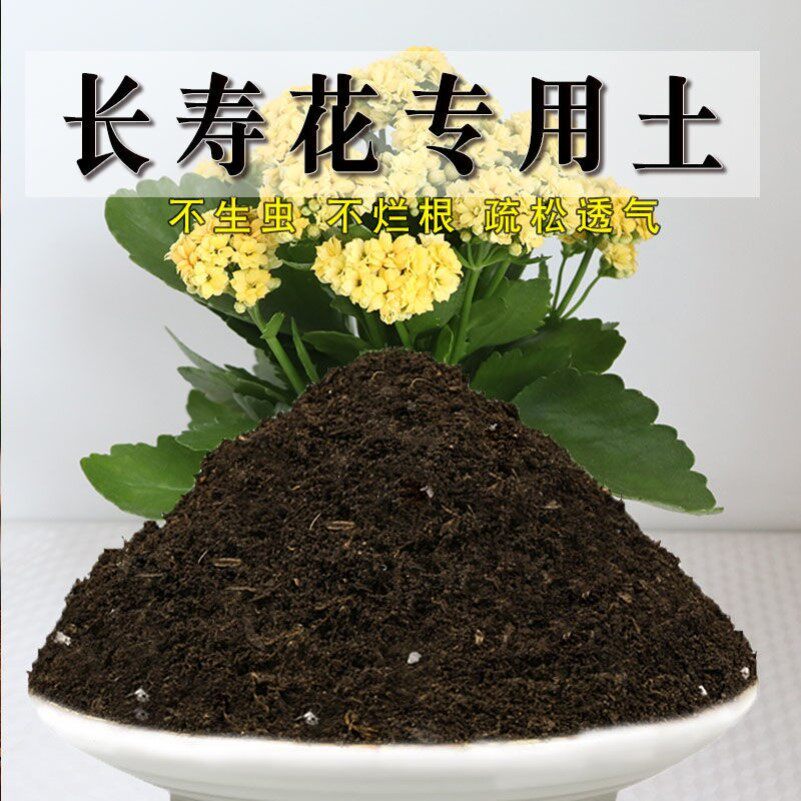 长寿花专用土盆栽土种花养花泥土营养土壤通用室内种植土有机肥料