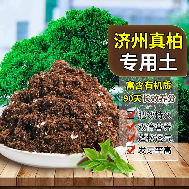 济州真柏适用轻质土配比均衡多肉种植土精选稳定土团大包装球根