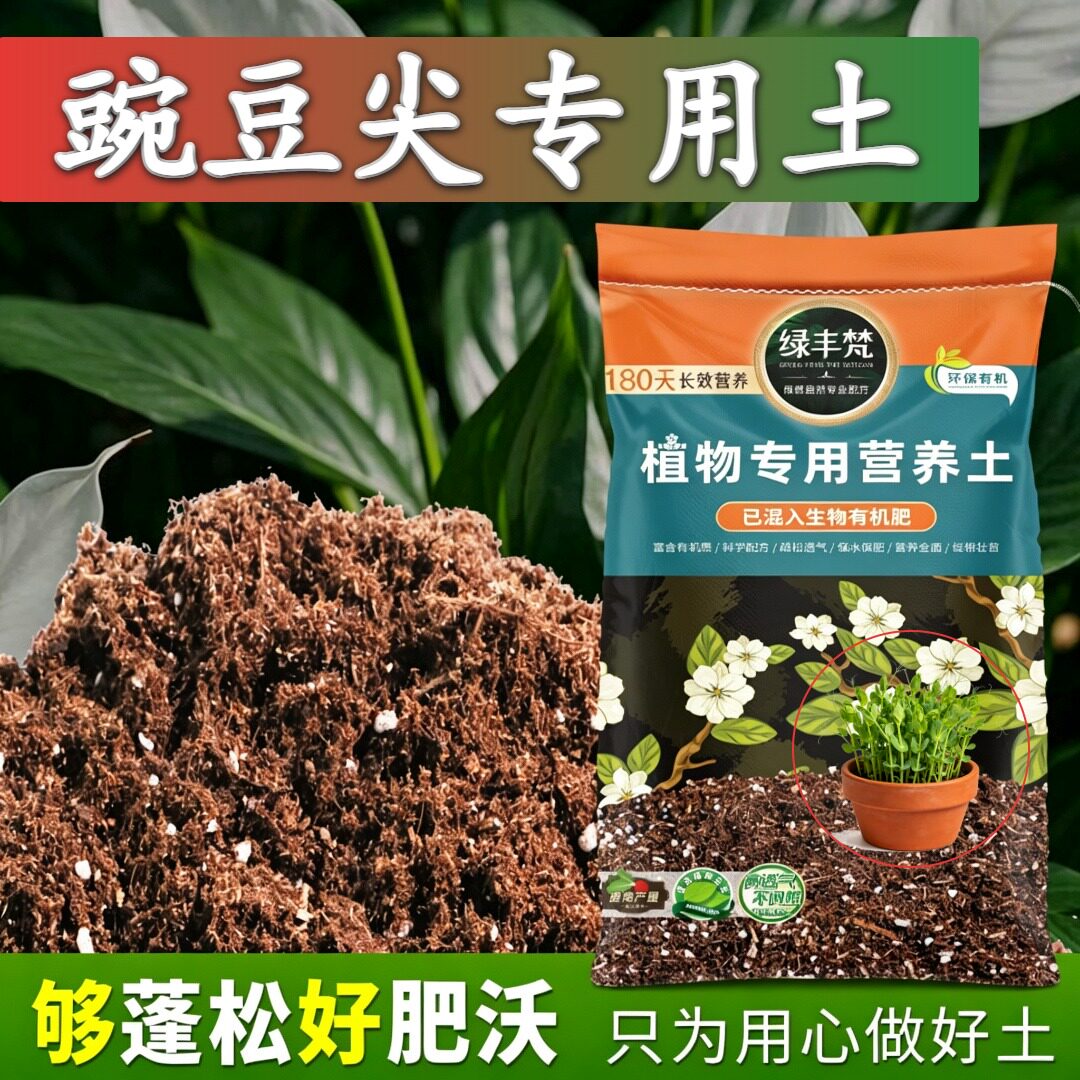 豌豆尖专用配方土干湿循环好种植土有机质丰富留存肥力无草籽球根