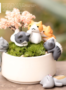 可爱风猫咪玩偶盆栽礼盒装摆件