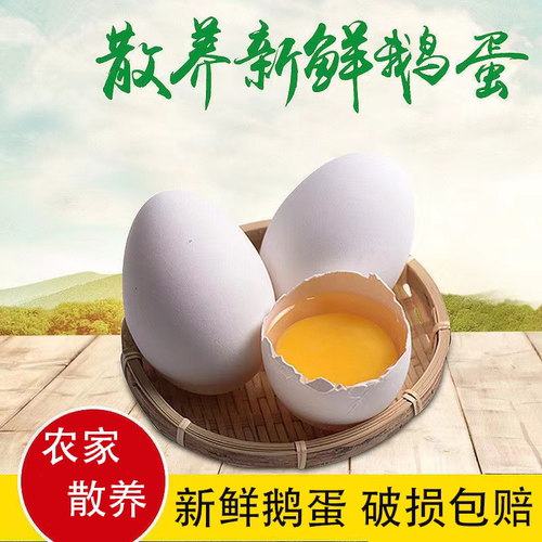 大白鹅蛋115-135克初生雁鹅蛋新鲜农家散养新鲜孕妇宝宝辅食