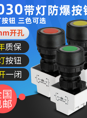 BA8030防爆防腐带指示灯控制按钮塑料30mm有3C证书按钮开关自复位