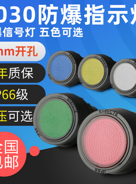 BD8030-2防爆防腐信号灯exd指示灯24V36V220V多色可选防爆箱信号