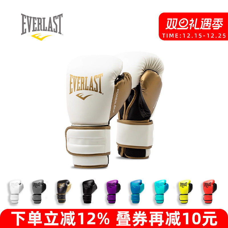 EVERLASTPowerlock2拳套初学者