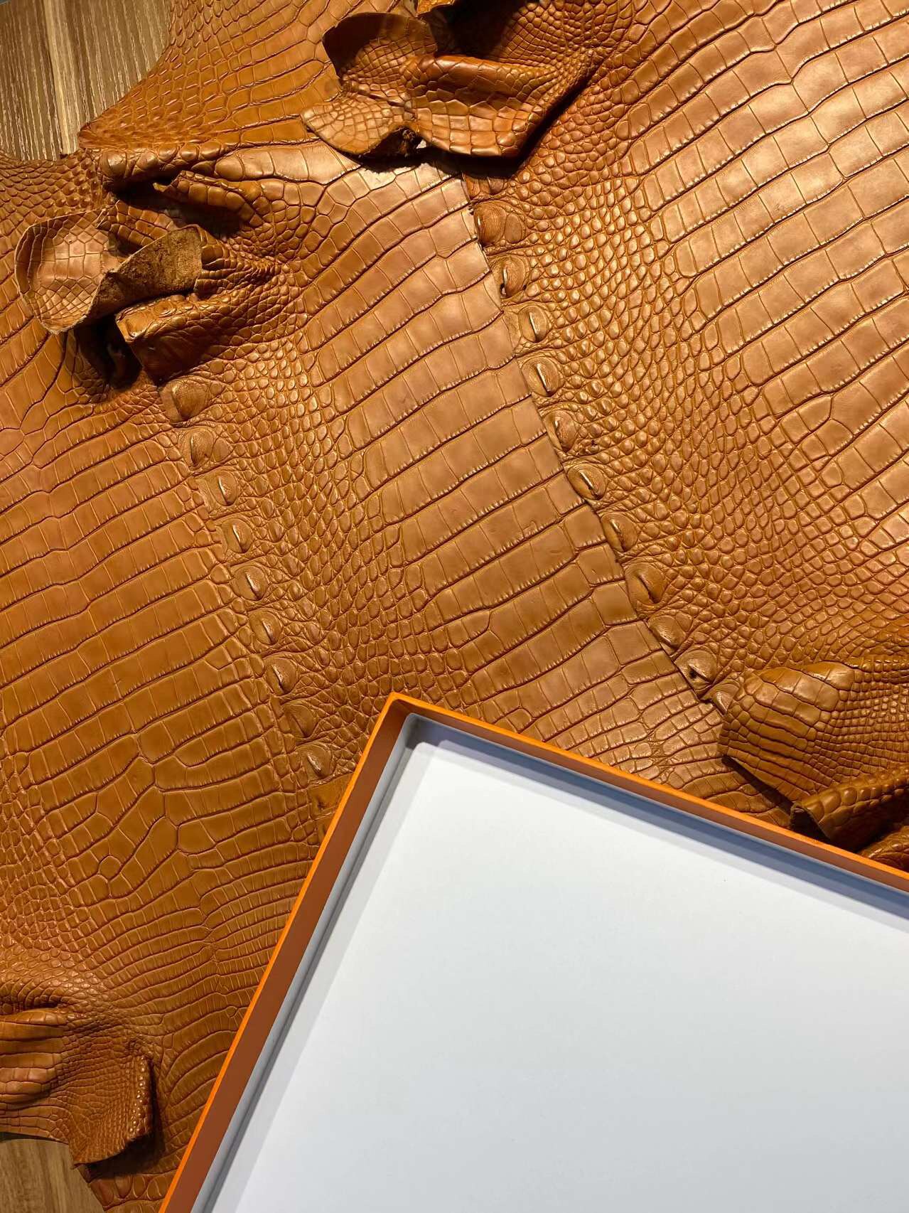 色卡稀有皮定制专拍铂金凯莉康康手工鳄鱼皮蜥蜴皮鸵鸟皮定制链接