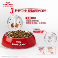 Royal Dog Food, Adult dog Food, Small Dog Special PR27 Bichon Frise Pomeranian Teddy 2/8kg Universal Type Official Genuine Product thumbnail 8