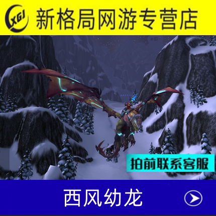 魔兽世界手工声望坐骑西风幼龙托尔巴拉德战场巴拉丁典狱官崇拜