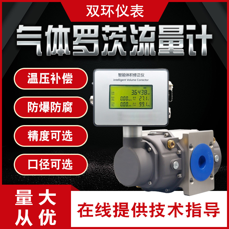 气体腰轮罗茨流量计天然燃煤瓦斯液化贸易计量智能气体流量计DN25