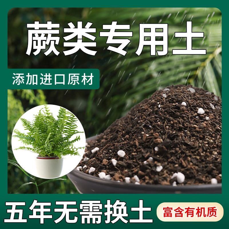 观音莲家用轻质园艺土泥炭土根壮苗好干湿循环好园艺营养土嫁接