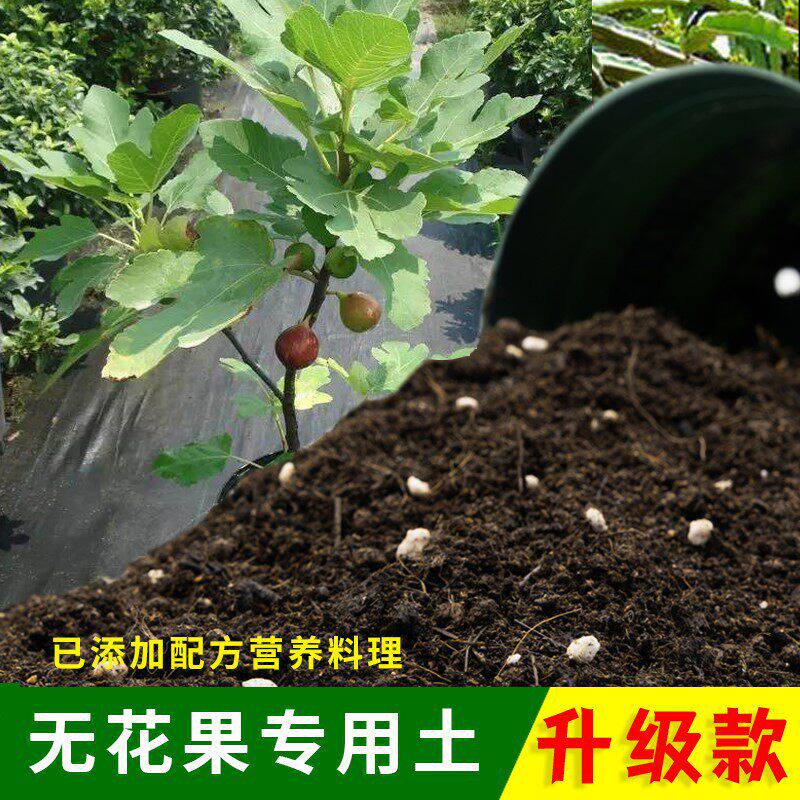 无花果专用土果树盆栽无花果营养土沙质土壤养花土绿植肥料种植土