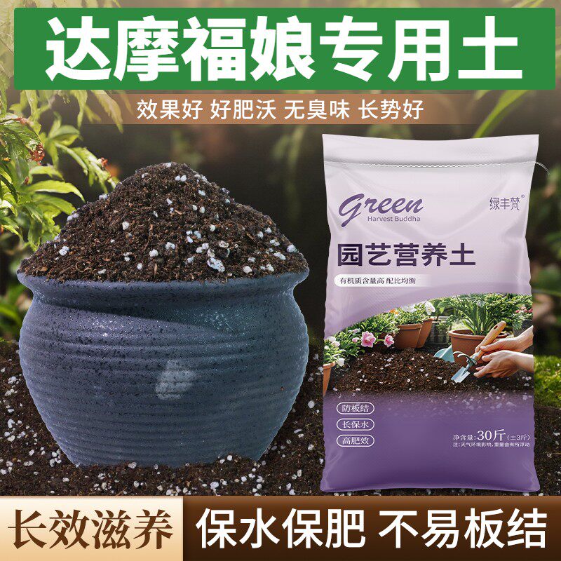 达摩福娘专用泥炭土保水锁肥盆景加有机肥无菌绿叶观花包邮加牛粪