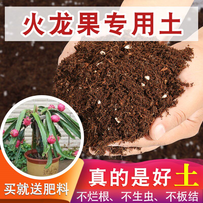 火龙果专用土泥炭土营养土花土营养土通用型家用花泥椰砖土通用型