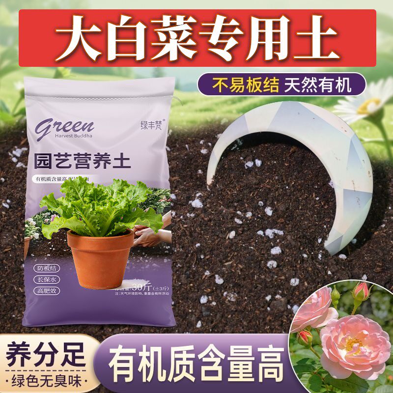 大白菜专用种菜土不烂根保水锁肥育苗泥炭基质无菌壮根喜酸栽培土