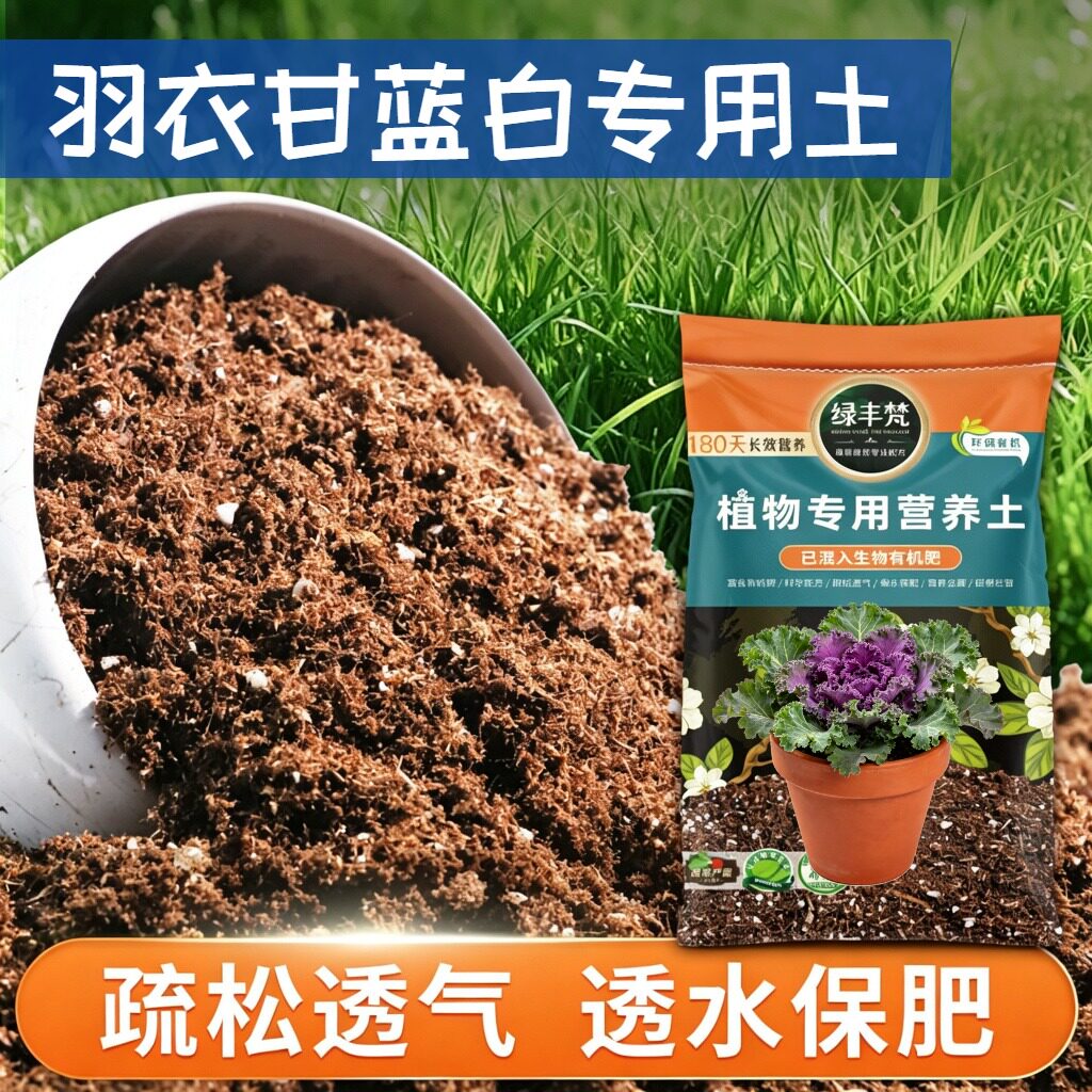 羽衣甘蓝白适用轻质基质土盆栽土干净无尘稳定土团无草籽观花