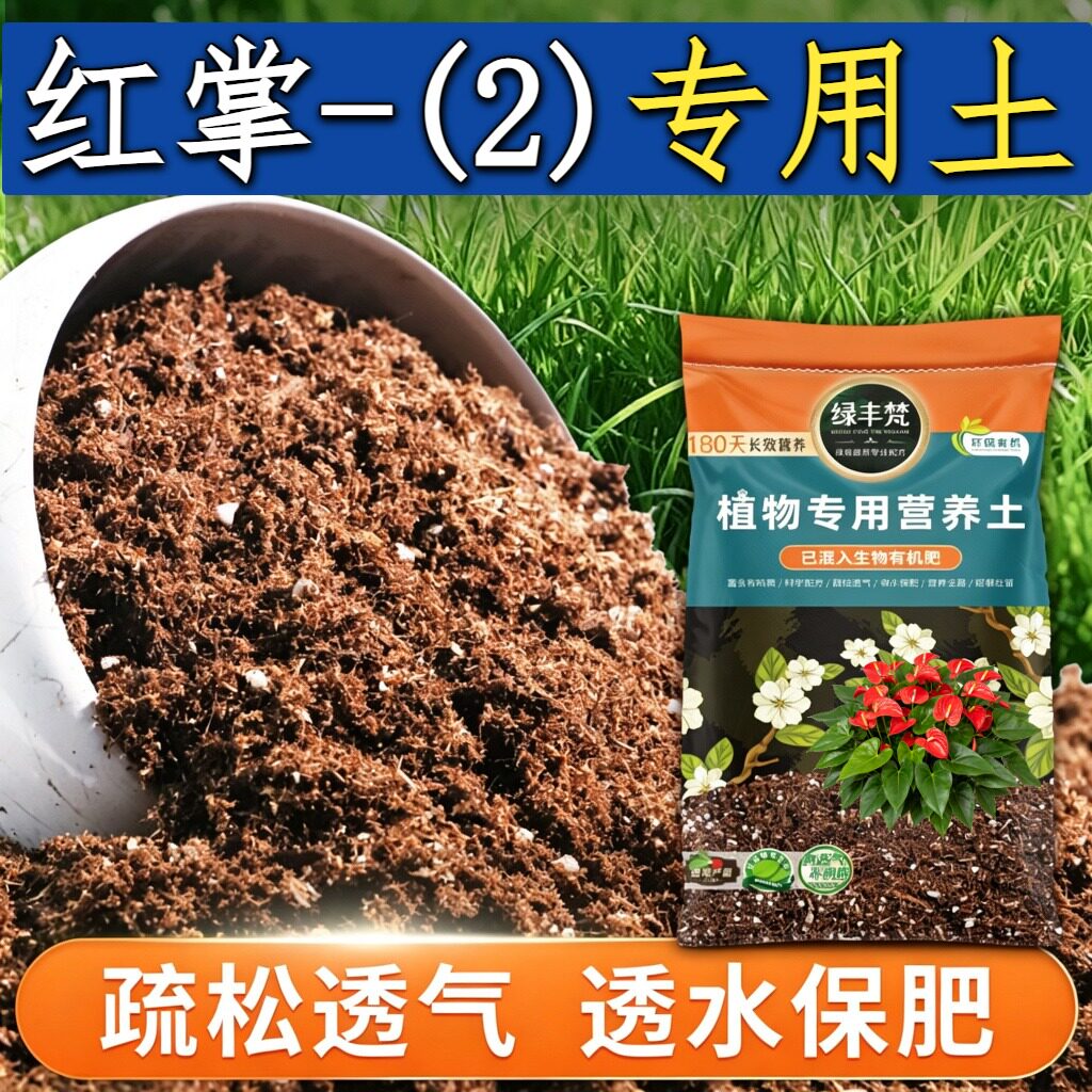 红掌-(2)适用种植土盆栽土温和不烧根缓释营养开袋即用球根