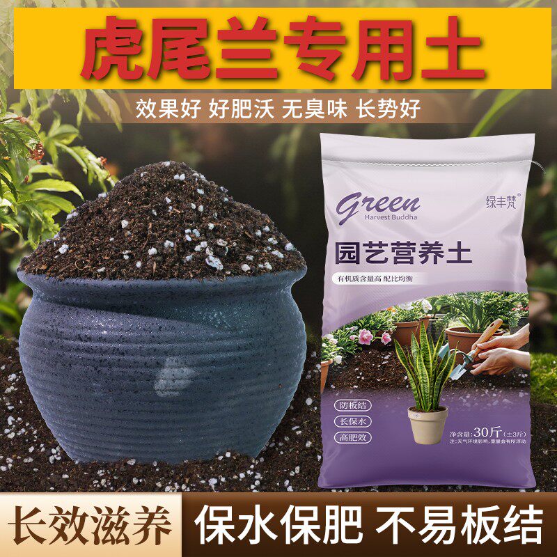 虎尾兰适用进口泥炭土根壮苗好高温灭菌花园包邮精选促生长观叶