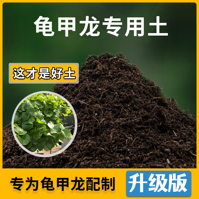 龟甲龙专用土花草种植通用龟甲龙营养土盆栽种花养花肥料有机土
