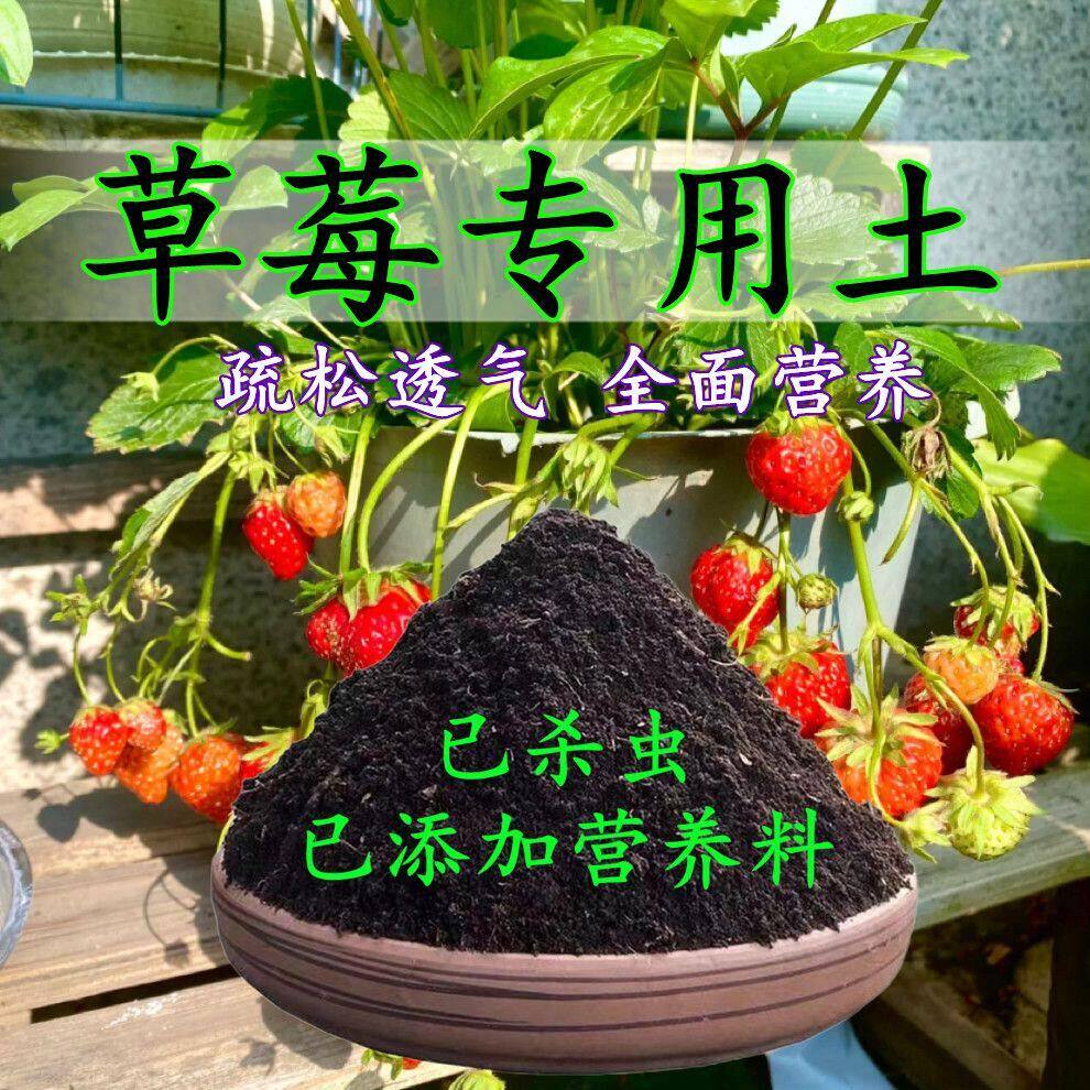 草莓专用土草莓专用营养土盆栽土养花种花土通用种植土壤有机肥料